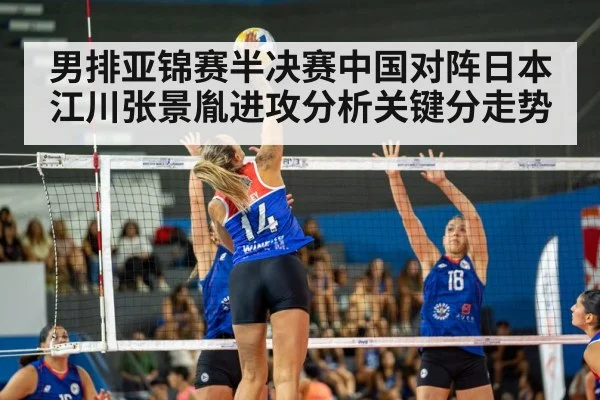 volleyball spike action